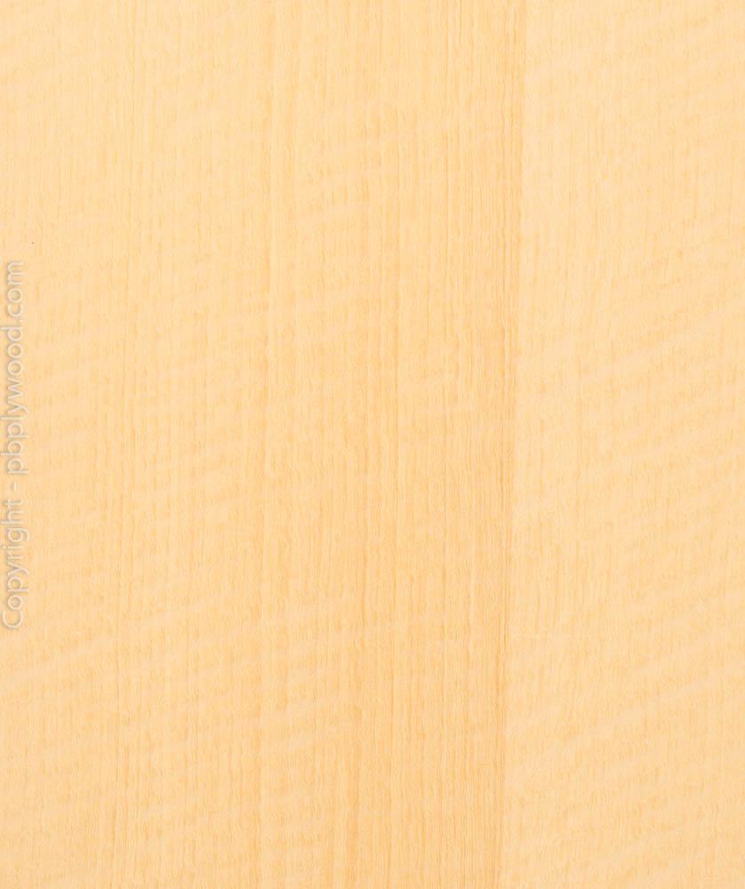 Goiabao Figured Veneered Birch Plywood - Peter Benson Plywood Ltd